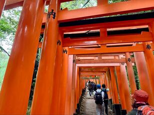 登山と観光どちらも楽しめる！「京都一周トレイル」 伏見稲荷から蹴上駅まで「東山コース」 セクションハイクの見どころ