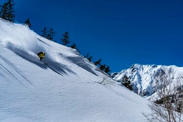 スキー ジルブレッタ505 BLIZZARD 山スキー バックカントリー 取説付