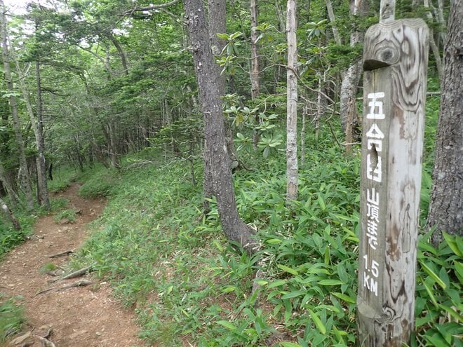 【北海道の山】花の名山として知られる日高「アポイ岳」は、夏の登山も魅力的！ 2025年・北海道の画像005
