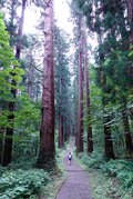 「出羽三山をめぐる」初夏の東北！ 羽黒山・湯殿山 “SEA TO SUMMIT”スタイルで月山へ 【崖っぷちYUKIの珍道中】の画像003