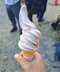 歴も技量もバラバラ！？  でも大丈夫！  ツアーバスで行く「楽ラク尾瀬散歩」は初めての山歩きに最適！！【双葉社 登山部 山行レポート vol.2】の画像007