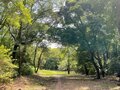 ＜残暑にオススメな“低山の早朝ハイキング”コースPart2＞“涼めるポイント”も豊富な「サクっとモーニングトレイル」私市（きさいち）編【里山アドベンチャー！ソトアソ日和 vol.6】の画像007