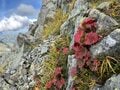 【山岳遭難しないために】秋登山に行く前のリマインド 「体感温度はすぐに氷点下！」 山梨県｜2026年の画像004