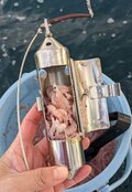「海釣り初心者」でもこんなに釣れた！  熱海でタイ、カツオ、サバが大漁！  お味も美味しすぎ「正直感動レポート」の画像005
