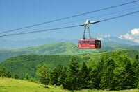 『北八ヶ岳ロープウェイ』 日本三大アルプスを一望できる特等席！  標高2,237mの山頂駅前に広がる高山植物の宝庫「坪庭自然園」【特集・夏山で遊ぼう】
