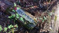 低山ハイキングで人気の「陣馬山」 地元ハイカー直伝「矢ノ音コース」で登ってみた！  ローカルでも道標＆ベンチあり、藤野駅から陣馬高原下バス停「実踏レポ」