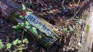 低山ハイキングで人気の「陣馬山」 地元ハイカー直伝「矢ノ音コース」で登ってみた！  ローカルでも道標＆ベンチあり、藤野駅から陣馬高原下バス停「実踏レポ」