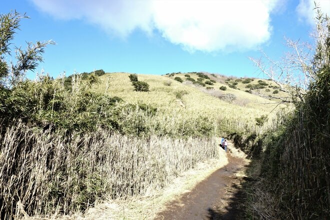 富士の絶景まで1時間！「金時山」登山の最短ルート「金時見晴パーキング」から“天下の秀峰”の山頂へ〈登頂レポ〉【神奈川県・南足柄市】の画像010