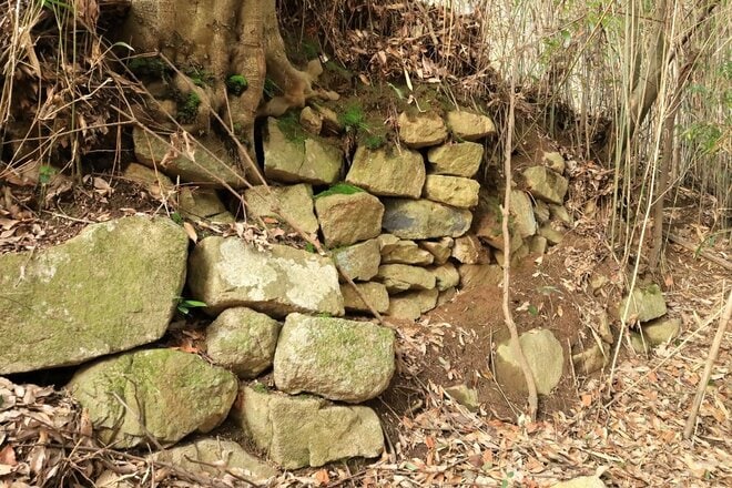 石の城と思いきや土の城だった！「安芸国・頭崎城〈後編〉」　最後に待ちうけていた驚異の “巨壁” に本気を見る（広島県東広島市）【戦国の山城を攻める vol.08】の画像007