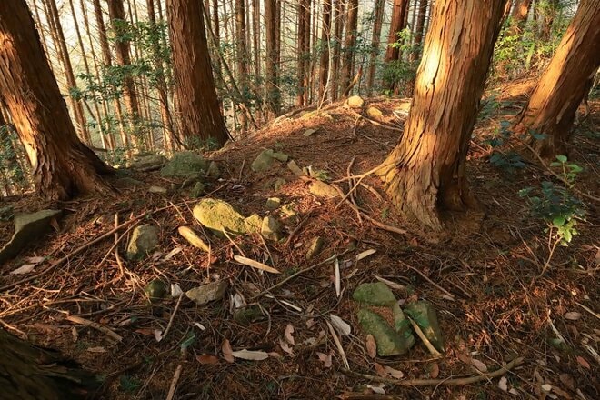 石の城と思いきや土の城だった！「安芸国・頭崎城〈後編〉」　最後に待ちうけていた驚異の “巨壁” に本気を見る（広島県東広島市）【戦国の山城を攻める vol.08】の画像013