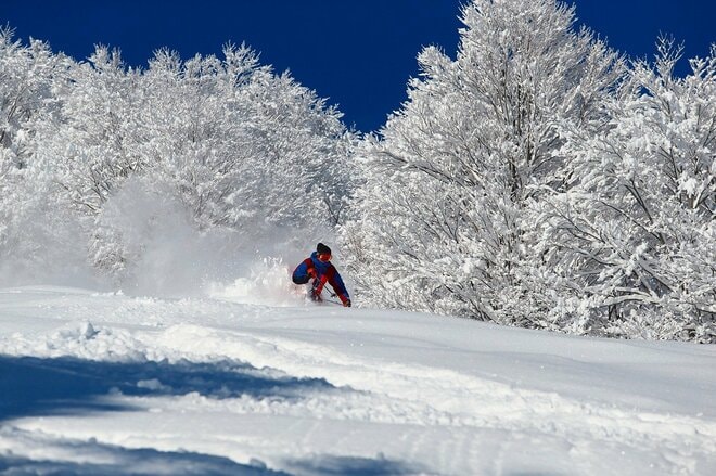 【舞子スノーリゾート 2025／26シーズン】最寄りICから最短1分！ 最長滑走距離6,000mは新潟 湯沢・石打エリア最大級の画像005