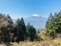 年に1度は見たい！ 天下一の「富士山」絶景！ 長尾峠から「金時山」山頂へ「箱根＆芦ノ湖」展望ルート【登山レポ】の画像002
