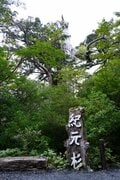 【世界自然遺産・屋久島】九州最高峰の「宮之浦岳」へ！  日本最南端の高層湿原「花之江河」を抜け、洋上のアルプスに臨むの画像019