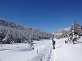 スノートレッキング入門！ 好アクセス「北八ヶ岳ロープウェイ」利用「坪庭自然園」歩行1時間&周回1kmコース「八ヶ岳ブルー」絶景レポの画像001
