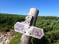 「紅葉の大雪山から十勝連峰の山々を一日で」トレランスタイルで駆け抜ける！ 北海道最長縦走路の全貌 【後編】の画像004