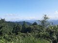 「7月の高尾山」見どころは「1号路のヤマユリ」！  白い大輪と甘い香りが彩る絶景＆歩きやすいメインルート「夏のお花見」ハイキングの画像005