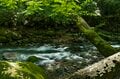 【渓流釣り】雨に煙る飛騨の渓流！ 出会いを求めて釣り旅へ「雨上がりの美渓で飛び出した美形イワナ」 2024年7月・岐阜県の画像003