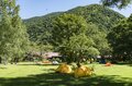 槍ヶ岳はすでに秋本番！「槍沢ルート」の状況と“咲き誇る秋の花“【北アルプスニュース】の画像004