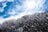 秋山登山にご注意！ 登山口は「紅葉の秋」でも… 山頂エリアは氷点下「冬の山」！ 日本百名山「磐梯山」登山レポの画像001