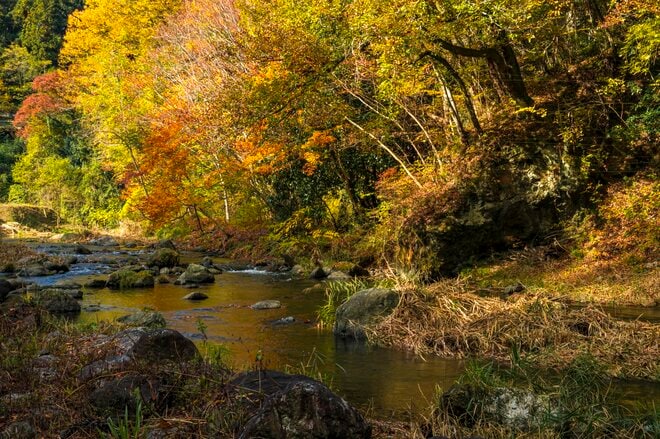 【釣り】完全予約制！ 広い渓流釣り場で真剣勝負！ 流れに見え隠れする魚影にドキドキ、ワクワクのフライフィッシング 「秩父フライフィールド」 埼玉県｜2025年の画像002