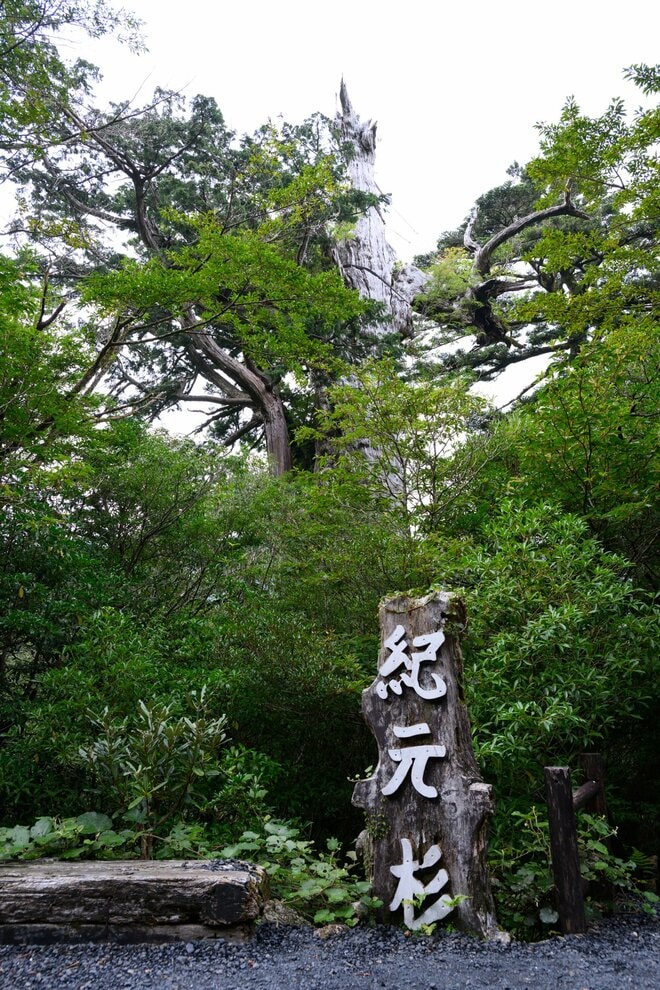 【世界自然遺産・屋久島】九州最高峰の「宮之浦岳」へ！  日本最南端の高層湿原「花之江河」を抜け、洋上のアルプスに臨むの画像019
