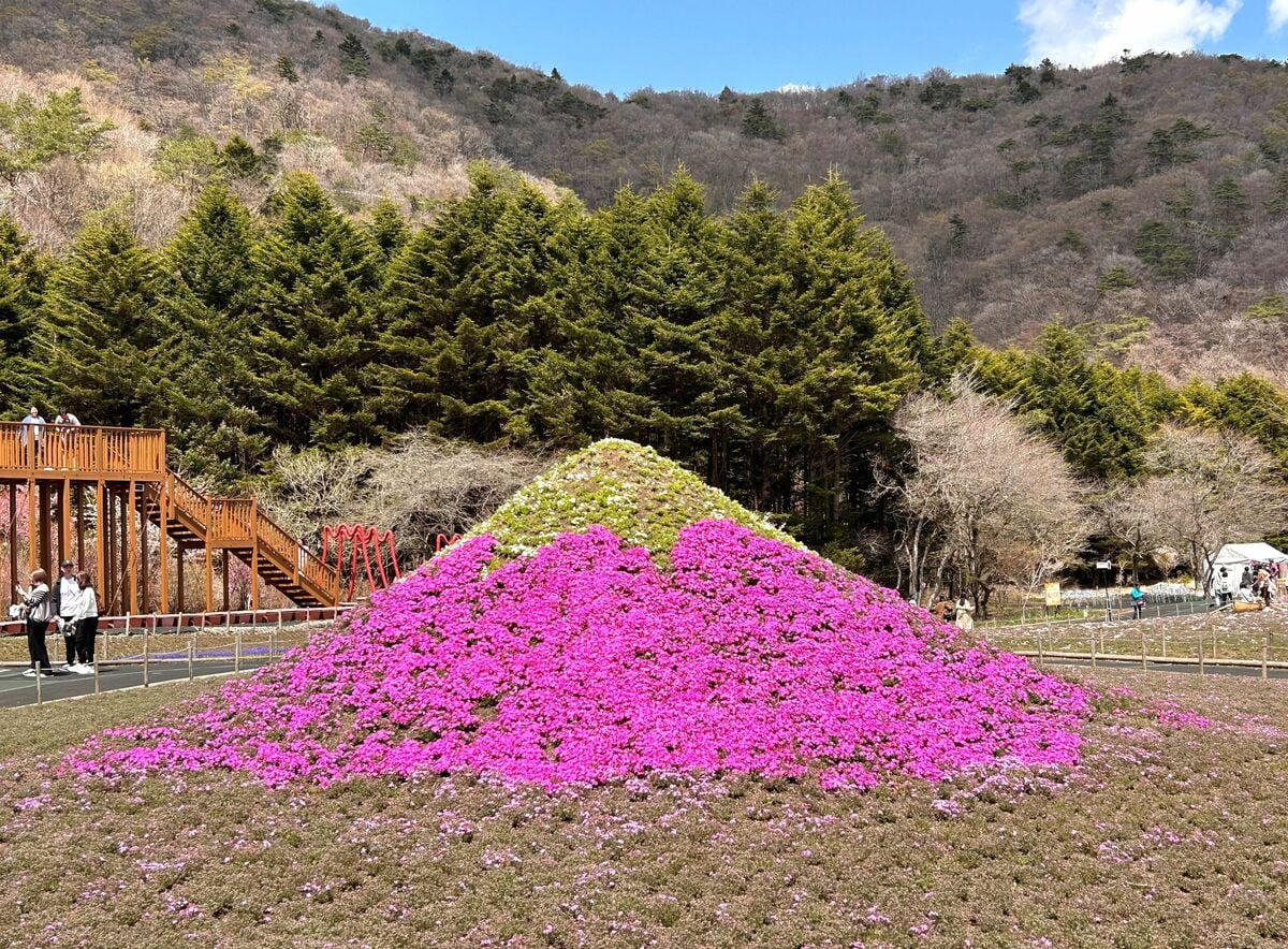 芝桜と映えるフォトスポットが満載の富士本栖湖リゾート「富士芝