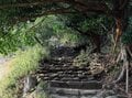 スリル絶景「地獄のぞき」と圧巻の「日本一石仏」のスケール感！ 千葉の石切り名山「鋸山・日本寺」ロープウェー登山レポの画像003