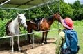 白馬の大人気スポット「白馬岩岳マウンテンリゾート」で絶景ホーストレッキング！ 新展望エリア「白馬ヒトトキノモリ」の こだわりカフェで超贅沢時間を満喫【長野県白馬村】の画像011