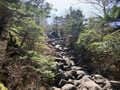 最短ルート「7合目登山口」アクセス解禁で登りたい、日本百名山「蓼科山」 360度パノラマの広大な山頂は「その時天気の良い方向」の絶景を選べるからオススメ！の画像004