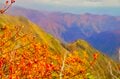 【日帰り登山ルポ】「日本百名山」谷川岳・リピーター続出！ 紅葉登山は想像以上に絶景で人気だった！ 天神尾根からオキノ耳へ《群馬県》の画像001
