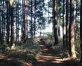 茶屋巡りと絶景！「初めての縦走登山」にすすめたい「日帰りの陣馬山～高尾山」絶景ルートの魅力とは?の画像006