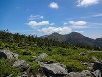 ジブリ『もののけ姫』の世界を感じる「苔の森」を抜けて目指す北八ヶ岳・天狗岳山頂「白駒池から東西天狗岳の往復約6時間30分コース」