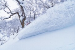【星野リゾート　トマム・北海道】極上パウダーの滑走環境が万全に整ったハイクラスな総合リゾート