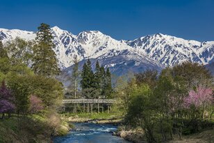 白銀の北アルプスに春の風物詩が出現！ お花見とセットで楽しめる“雪形”探し 【長野県 2024年】