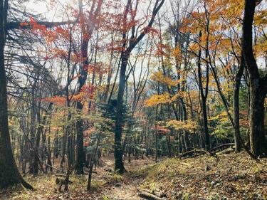 標高1,660mに突如現れる “白いビーチ” のような山頂！ 眼下には