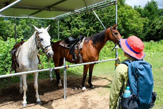 白馬の大人気スポット「白馬岩岳マウンテンリゾート」で絶景ホーストレッキング！ 新展望エリア「白馬ヒトトキノモリ」の こだわりカフェで超贅沢時間を満喫【長野県白馬村】の画像011