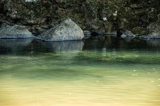 【渓流釣り】冬季キャッチ＆リリース！ 風光明媚な富士の裾野『黄瀬川』で、日がな一日ロッドを振り続けてフライフィッシング　静岡県裾野市｜2025年の画像004