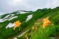 梅雨に逆戻り！？ 高山植物を愛でる山歩き！ ニッコウキスゲ咲き乱れる北アルプス・唐松岳〈長野県〉2022年の画像001