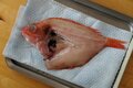 【きまぐれクックにも登場】「これ、ホントに食べられる？」めっちゃレアな人面深海魚「トウジン」のお味はいかに？の画像007