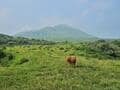 夏こそ見たい「阿蘇山」の絶景！  1000年以上守られてきた、日本一の面積を誇る「大草原」＆世界有数の大カルデラ・圧巻の中岳火口の画像001