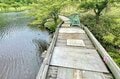 “百名山” 赤城山で自然に包まれてリフレッシュ！ 覚満淵の「レンゲツツジ」と赤城神社でパワーを充電するハイキング 【群馬県】2023年の画像005