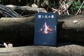 焚き火に役立つ「ほぼアート作品」！  フェザースティックの失敗しない作り方【焚き火の話vol.9】の画像007