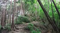 人気の「高尾山」6号路で「あわや」の体験も！「夏の低山登山トラブル」3つの実体験レポ！  やってはいけない “ブーメラン” NG行動＆対策とは！？