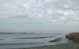 晩夏からがシーズン！  初心者＆親子でも簡単なハゼの「ミャク釣り」仕掛け・エサ・釣り方の「ポイント」とは？