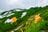梅雨に逆戻り！？ 高山植物を愛でる山歩き！ ニッコウキスゲ咲き乱れる北アルプス・唐松岳〈長野県〉2022年の画像001
