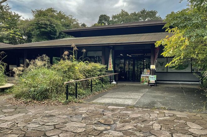 都市部で2時間「駅からハイキング」横浜市金沢区「大丸山」レポ！思わず嬉しくなる“街チカ”とは思えない、豊かな自然＆展望！の画像012