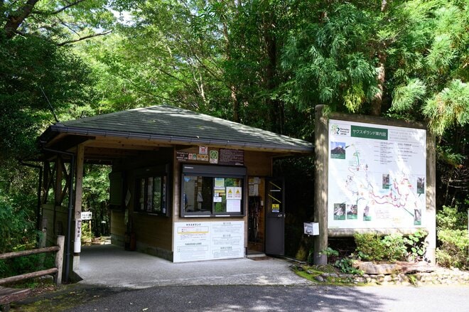 【世界自然遺産・屋久島】樹齢1800年「仏陀杉」に会いに行く！「ヤクスギランド」の吊り橋とエメラルドグリーンの清流を巡る1時間20分ライトトレッキングの画像001