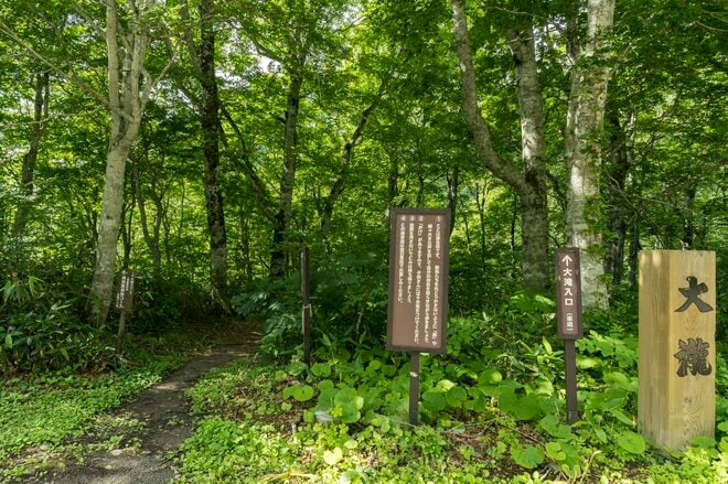 【夏休み】涼を求めて！ 猛暑からの逃避行「滝めぐり・奥志賀渓谷で原生林トレッキング」長野県・志賀高原の画像001