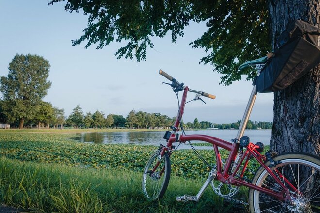 たった10kmの自転車周遊「ミズイチ」ってなに？  23区随一の水郷公園なら30分でもかなりエピック【ゆる6輪の旅 vol.01 水元公園】の画像003