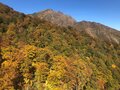 今週末の紅葉見るならどこ？ 名所＆人気スポットから最新情報をお届け「WEEKLY紅葉ニュース」【2023年10月第3週】の画像003